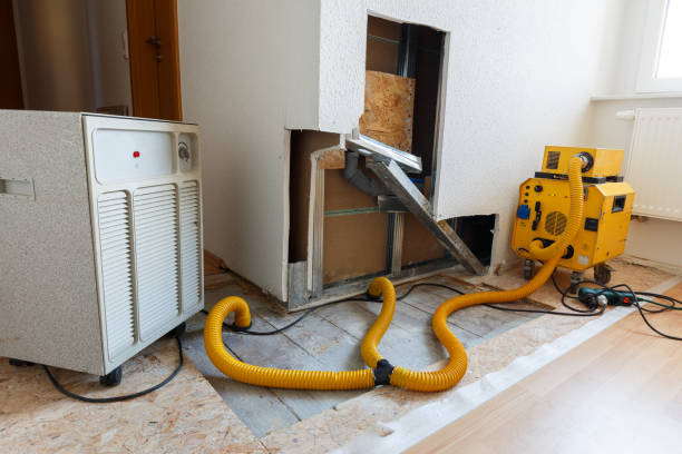 Best Biohazard Mold Removal  in Salunga, PA